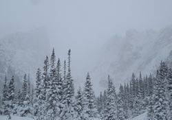 Trip Report: RMNP First turns of the season - Emerald Lake, et al