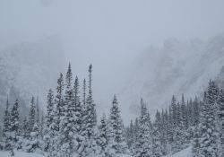 Trip Report: RMNP First turns of the season - Emerald Lake, et al