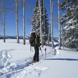 Harry Gates Hut, White River National Forest