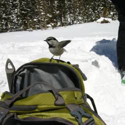 Visitors, Loche Vale, Rocky Mountain National Park