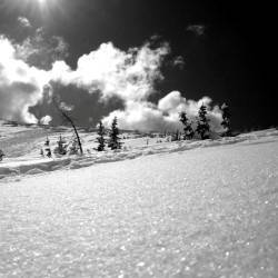 Ute Ridge, Rocky Mountain National Park