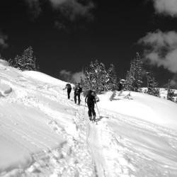 Ute Ridge, Rocky Mountain National Park