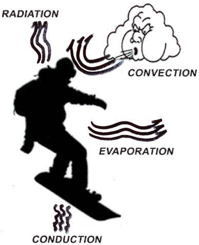 Four mechanisms of heat loss Four mechanisms of heat loss