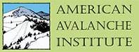 American Avalanche Institute